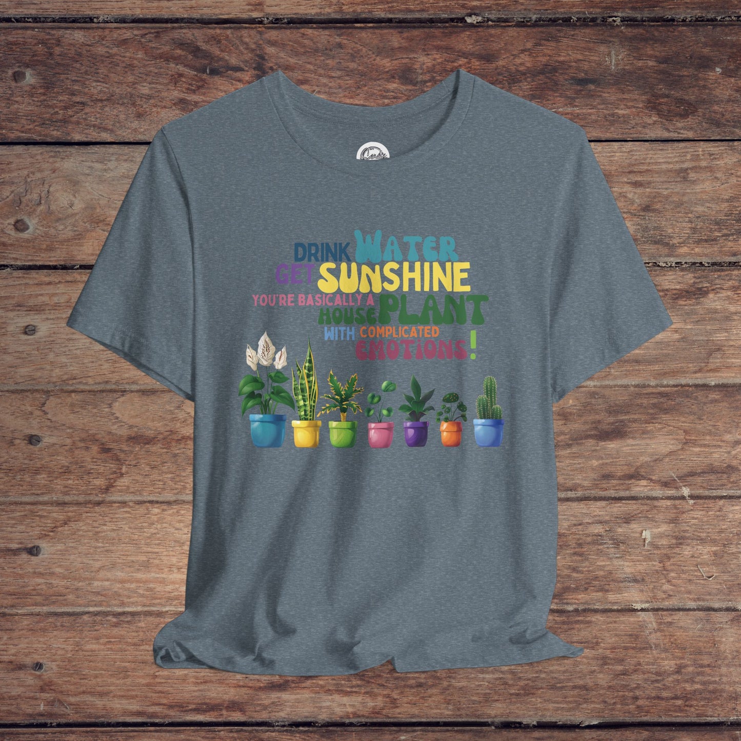 Funny Shirt for Plant Lover, Humorous Healthy Lifestyle Shirt, Drink Water Tshirt, Get Sunshine T shirt, Houseplant Tee, Emotion T-shirt