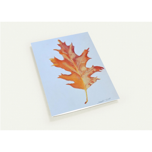 47a294f4-ca82-4281-bddb-3a17810e6965