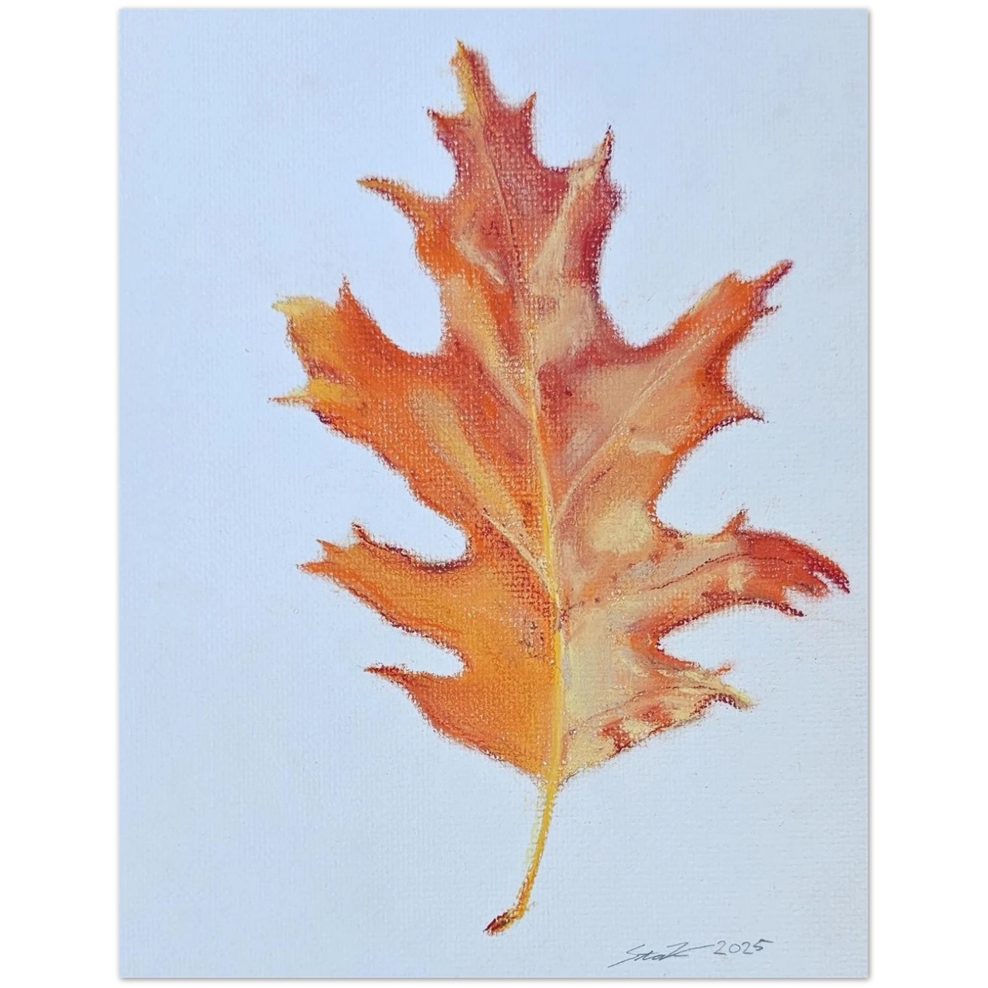 dfe04c8b-f66e-4e62-850d-bb17347fe2ba